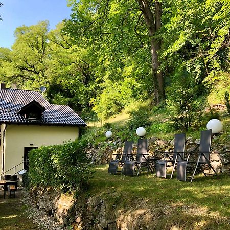 Chalet An Der Donau Direkt Bei Regensburg, 5 Sterne Dtv Pentling Zewnętrze zdjęcie