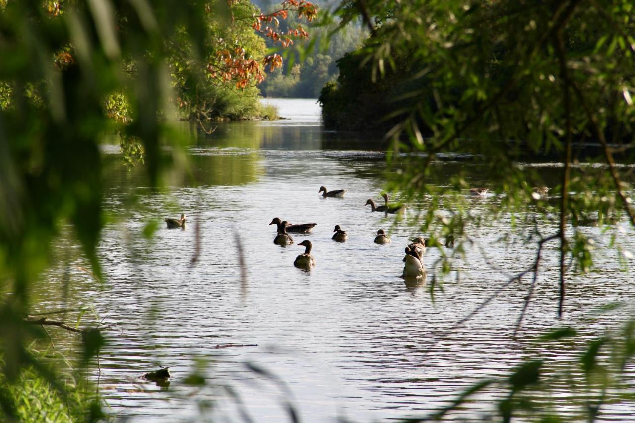 Chalet An Der Donau Direkt Bei Regensburg, 5 Sterne Dtv Pentling Zewnętrze zdjęcie